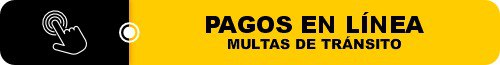 pagos en linea