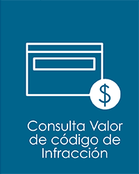 CONSULTA VALOR DE INFRACCION - CTP