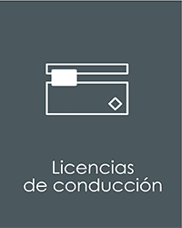 LICENCIAS DE CONDUCCION