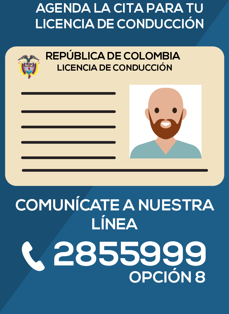 licencia-de-conduccion-linea-opcion-8-ctp